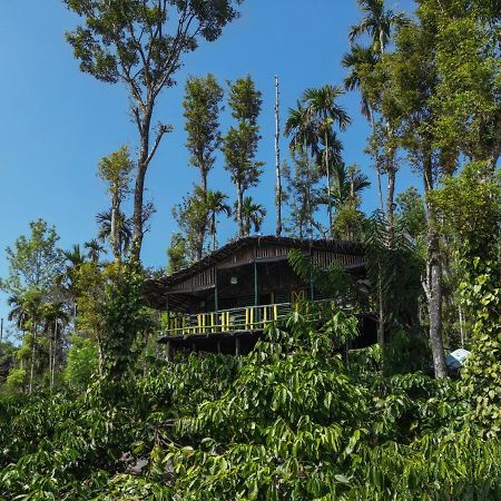The Mountain Tree Home Wayanad Buitenkant foto
