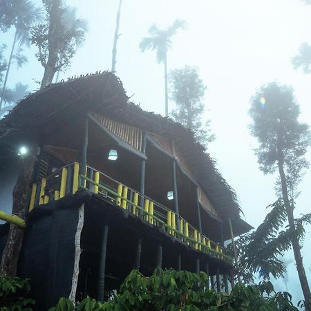 The Mountain Tree Home Wayanad Buitenkant foto