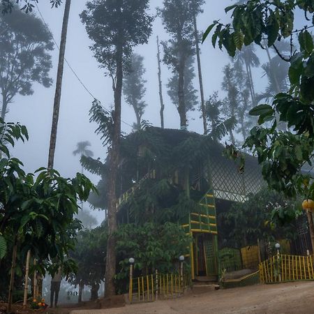 The Mountain Tree Home Wayanad Buitenkant foto