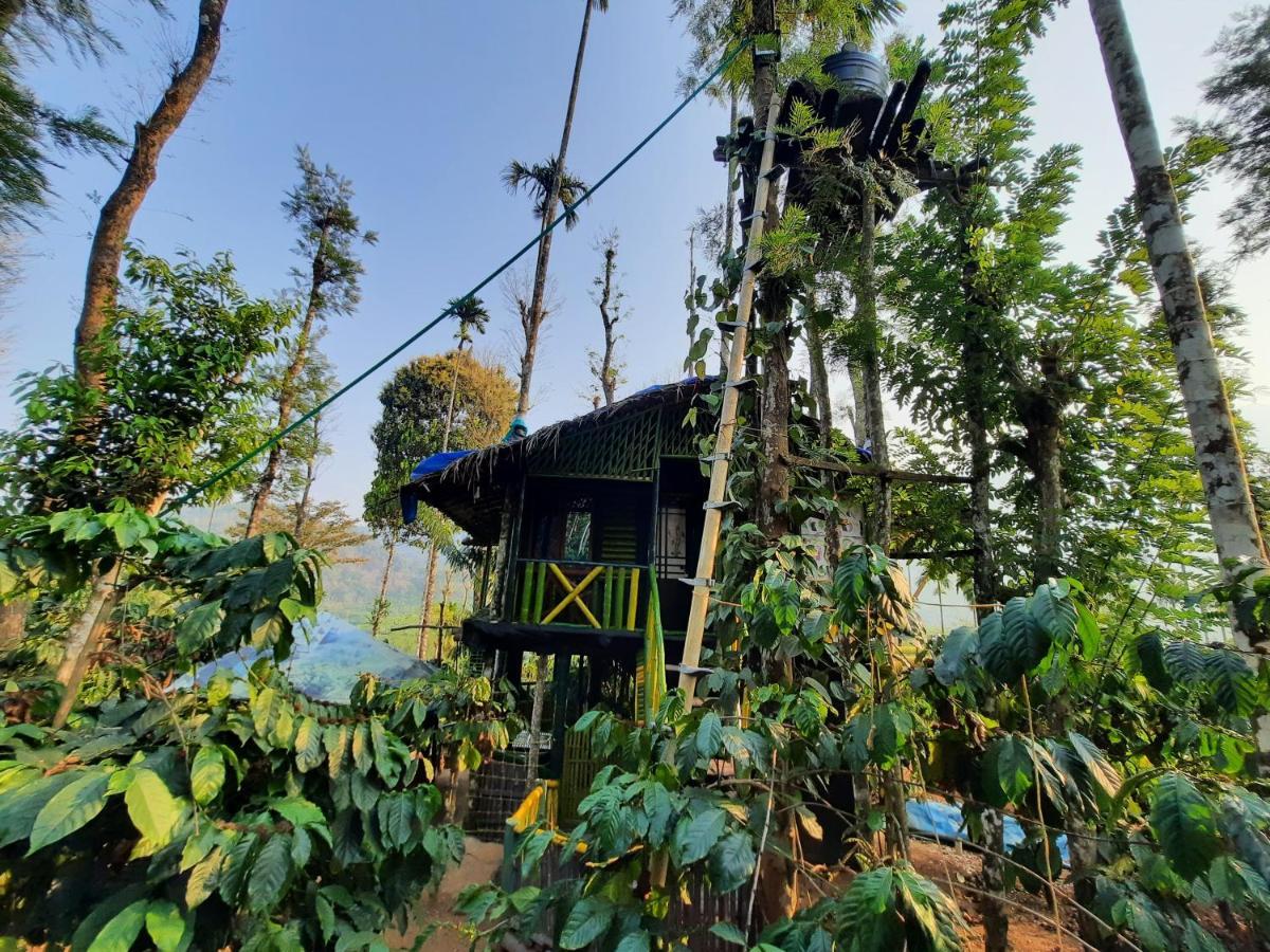 The Mountain Tree Home Wayanad Buitenkant foto