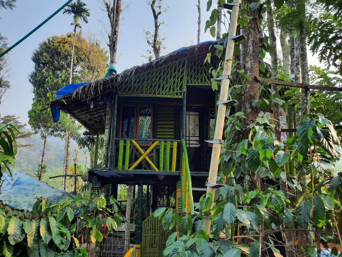 The Mountain Tree Home Wayanad Buitenkant foto