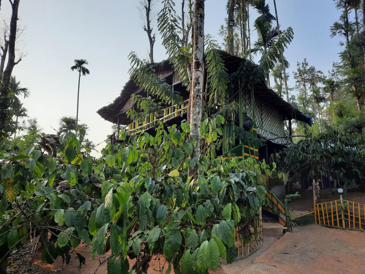 The Mountain Tree Home Wayanad Buitenkant foto
