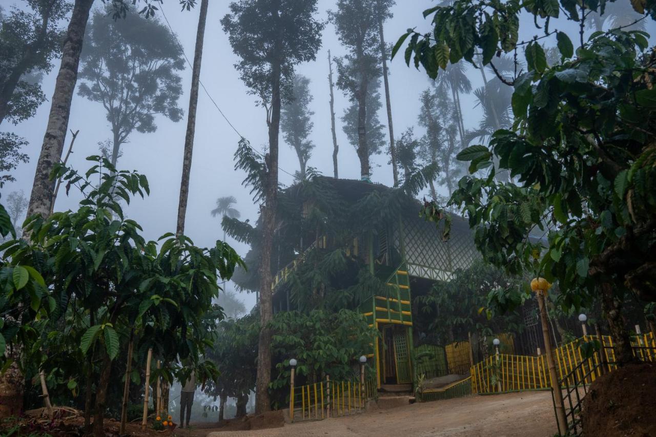 The Mountain Tree Home Wayanad Buitenkant foto