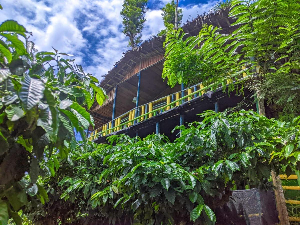 The Mountain Tree Home Wayanad Buitenkant foto