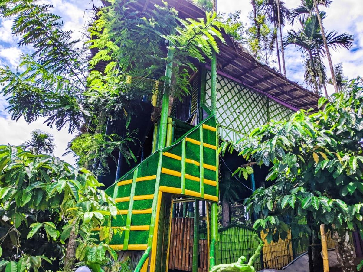 The Mountain Tree Home Wayanad Buitenkant foto